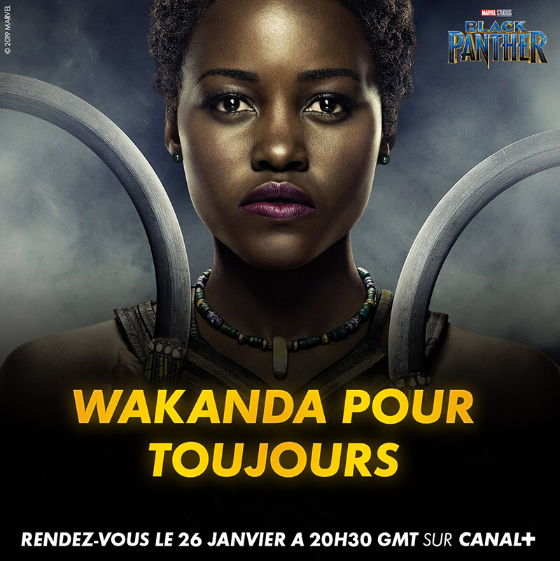 Black Panther characters description for CANAL+